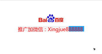 鼎力中国，饱倍儿崛起 享瘦生活新风尚与代理咨询服务解析